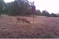 Land in Cooke County, Texas