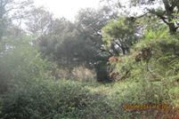 Farm and Ranch in Houston County, Alabama