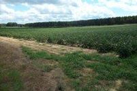 Farm and Ranch in Houston County, Alabama