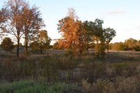 Farm and Ranch in Grayson County, Texas