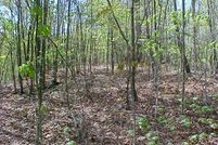 Recreational Property in Morgan County, Kentucky