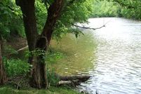 Riverfront Property in Washington County, Virginia