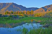 Land in Butte County, Idaho