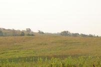 Land in Wayne County, Iowa