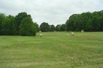 Land in Rains County, Texas
