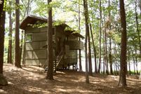 Timberland Property in Cass County, Texas