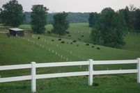 Timberland Property in Allen County, Kentucky