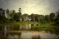 Farm and Ranch in Van Zandt County, Texas