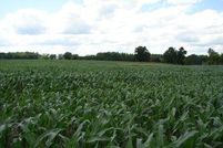 Farm and Ranch in Henry County, Iowa