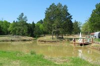 Farm and Ranch in Freestone County, Texas