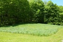 Farm and Ranch in Warren County, New Jersey