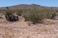 Farm and Ranch in San Bernardino County, California