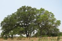 Lakefront Property in Comal County, Texas