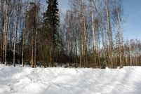 Commercial Property in Anchorage Borough, Alaska