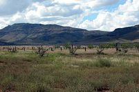 Land in Jeff Davis County, Texas