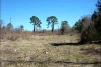 Land in Wood County, Texas