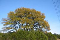 Recreational Property in Comal County, Texas