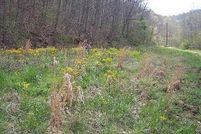 Land in Roane County, West Virginia