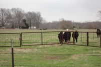 Timberland Property in Lamar County, Texas