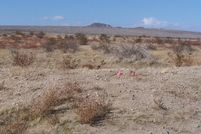 Farm and Ranch in San Bernardino County, California