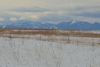 Land in Gallatin County, Montana