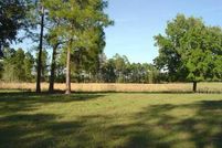 Farm and Ranch in Lake County, Florida