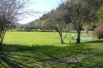 Timberland Property in Kootenai County, Idaho