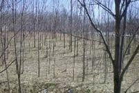 Land in Ashland County, Ohio