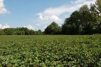 Farm and Ranch in Morgan County, Georgia