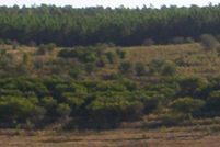Farm and Ranch in Lake County, Florida