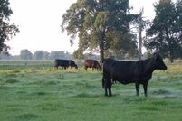 Farm and Ranch in Choctaw County, Oklahoma