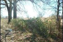 Land in Wood County, Texas