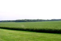 Farm and Ranch in Madison County, Ohio
