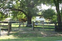 Farm and Ranch in Marion County, Florida
