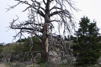 Land in Fremont County, Wyoming