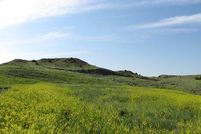 Land in Prairie County, Montana
