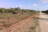 Timberland Property in Wilson County, Texas