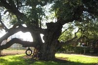 Farm and Ranch in Irion County, Texas