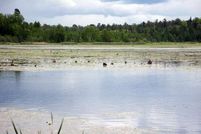 Lakefront Property in Crow Wing County, Minnesota