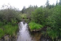 Farm and Ranch in Alcona County, Michigan
