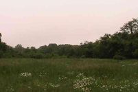 Farm and Ranch in Douglas County, Missouri