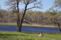 Farm and Ranch in Wilson County, Texas