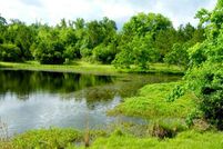 House in Tyler County, Texas