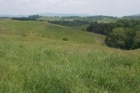 Farm and Ranch in Wythe County, Virginia