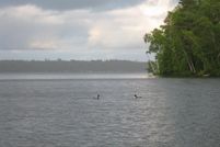 Recreational Property in Vilas County, Wisconsin