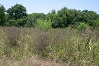 Timberland Property in Fort Bend County, Texas