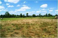 Timberland Property in Lee County, Mississippi