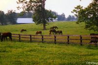 Farm and Ranch in Oglethorpe County, Georgia