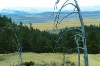 Farm and Ranch in Carbon County, Montana