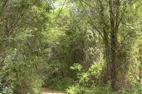 Land in Denton County, Texas